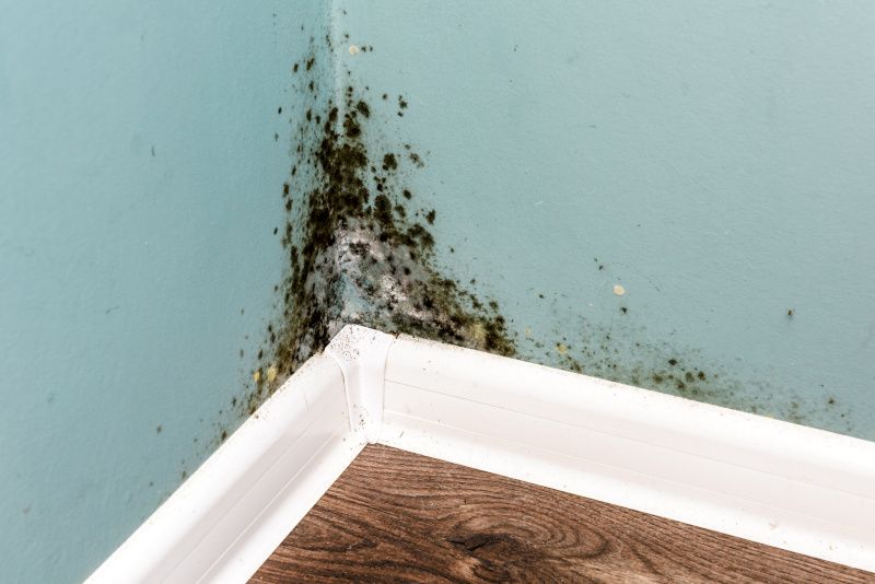 Mildew Removal